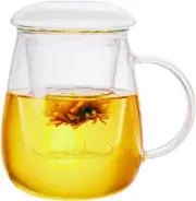 Glass Tea Cup with Infuser and Lid Steeping Mug with Removable Strainer and Lid