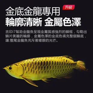 吉印龍魚專用燈i7Plus紅龍魚烤色發色燈金龍觀賞魚缸增艷rgb專業
