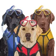 Three Musketeers Labrador Dogs 3-Ply Paper Beverage Napkins, 20 Count