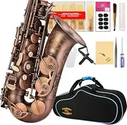 GLORY High Grade Antique Finish Series PR1, E Flat Alto Saxophone with 11reeds,8 Pads Cushions,case,carekit