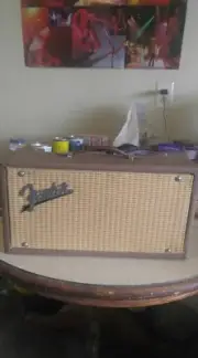 1962 Fender Stand Alone Reverb 6G15 / Clone /