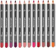 12pc Ultra Fine Lip Liner Set of 12 Color Waterproof Non-Marking Matte Longlasting Velvet Lipstick Pen (with Box)