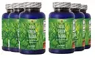 BLUE GREEN ALGAE 500mg - Stem Cell - Best Antioxidant - 6B