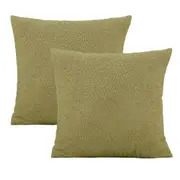 Cushion Cover 2Pcs 45 x 45cm Cushion Covers Decorative Pillow Cases-Green