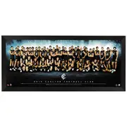 Carlton Blues - 2014 Team Poster Framed