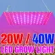 LED植物燈全光譜110V量子板植物生長燈220V多肉補光燈40W家用室內蔬菜花卉種植燈園藝照明種子溫室培育
