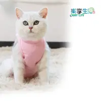 在飛比找momo購物網優惠-【ENJOY LIFE 樂享生活】寵物貓咪絕育衣(貓咪防舔衣