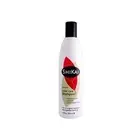 Shikai Natural Color Care Shampoo with Plant Based Formula 12 fl oz Pack of 2