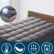 Bamboo Charcoal Pillowtop Mattress Protector Mattress Topper Cover 1000GSM All Size Queen/King/Double/Single/KS