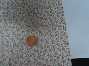 DOLLHOUSE WALLPAPER- MOLLIES MADNESS ROSE- MNG3147