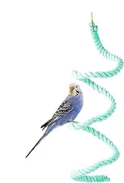Parrot Rope Perch - Flexible Bird Swings for Parrots Cockatiel Peony - Macaw Swing Ladder Bite-Resistant Flexible Standing Stick