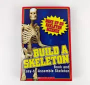 Build A Skeleton Scholastic Book and Easy to Assemble Model Kit