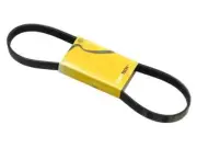 Accessory Drive Belt For 07-10 Mini Cooper Hatchback Wagon WS38Z7 (for: Mini)