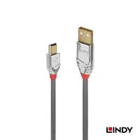 在飛比找蝦皮商城優惠-LINDY 林帝CROMO 鉻系列 USB2.0 Type-