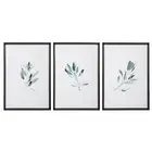 Large Sage Herb Watercolor Print Set 3 Green White Wall Art Framed Farmhouse