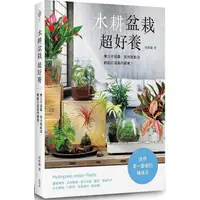 在飛比找PChome24h購物優惠-水耕盆栽超好養：無土不招蟲，加水就能活，輕鬆打造室內綠意