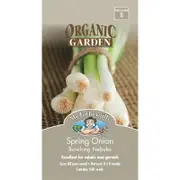Mr Fothergill's Spring Onion Nebuka