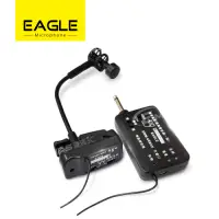 在飛比找Yahoo奇摩購物中心優惠-EAGLE高傳真樂器專業無線麥克風組 EWM-U6SAX