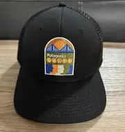 Patagonia BROOKLYN NY New York Black Cap Trucker Mid Crown Hat SnapBack NWT