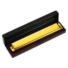 Harmonica Professional Harp Armonica of C 24 Hole Polyphony Diatonic H4M6