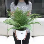 【家具裝飾擺件】假植物盆栽室內裝飾大型假盆栽植物大的客廳房間擺設仿真綠植盆栽