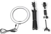 LED Flash Bundle 2900-5600K 10 Inch Fill Light Panel 120 Beads Dimmable LED Fill Light USB Camera Video Lamp with Tripod Phone Clip Set Three Dimming Modes