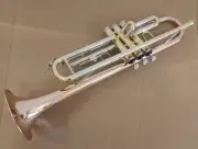 High Quality Brass Bb Trumpet Brushed Silver Rose Gold