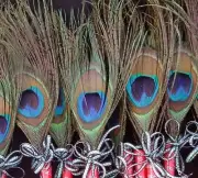 10 Peacock Feather Pen Party,forParty,Sweet16,Bridal S,Mom GIft,Weddin Favors