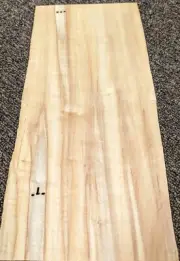 Maple Spalted Ambrosia wood veneer 5.5" x 12" raw no backed 1/42" thickness