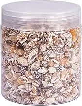 TEHAUX Shell Beads, Necklace Natural Shell Craft Beads Bracelet Charm Spacer DIY for Bracelets Decorative Material Nonporous