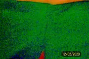 Women's Shorts CHAMPRO Sports Polyester 80% Spandex 20% Size Large Forest Green