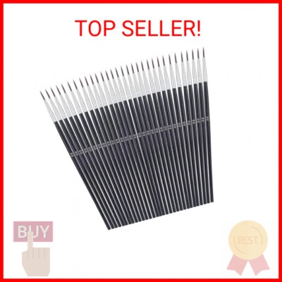 Miniature Detail Paint Brushes, Anezus 30 Pcs Paintbrushes Small Watercolor Arti