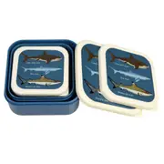 3pc Rex London Kids Plastic Snack/Lunch Box Food Storage Square Set Sharks