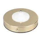 Feather Table Lamp IDB Type C 5V Touch Control Stepless Dimming LED Table ID