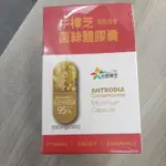 台研 牛樟芝 菌絲體膠囊 30顆 台灣 牛樟芝 台灣製 牛樟芝固態培養 菌絲體膠囊 食物
