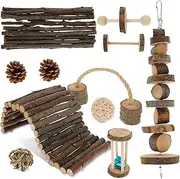 11Pcs Natural Wood Accessories Set for Chinchilla, Guinea Pig, Hamster, Rabbit - Teeth Caring Chewing Toy, Fun Cage Toys