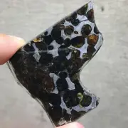73.8Ct Brenham Olive Meteorite Pendant Olive Meteorite Slice