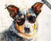 Australian Cattle Dog with a gangster vibe and sunglasse 8x10 Print