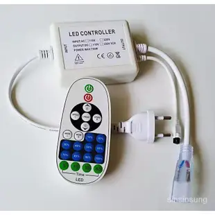 [台灣熱銷]led燈條單色rgb防水插頭110V高壓燈帶電源控制器燈條連接配件