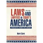 LAWS AND LAWYERS IN TODAY’S AMERICA: THOUGHTS FROM THE INSIDE