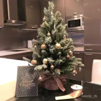 在飛比找蝦皮商城精選優惠-優質好貨 聖誕樹2023新款聖誕裝飾品迷你聖誕樹擺件小聖誕樹