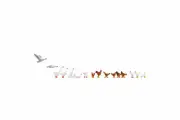NOCH 15772 HO Scale Chicken and Geese