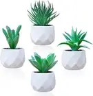 IFLOVE Artificial Succulents Assorted Decorative - 4 Pack