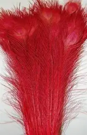 25 Pcs BLEACHED PEACOCK TAILS Feathers 35-40" FIRE RED; Costume/Art/Crafts