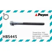 Payen Cylinder Head Bolt Set - HBS445
