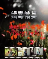 在飛比找Yahoo!奇摩拍賣優惠-DVD 2013年 緝毒精英 大陸劇