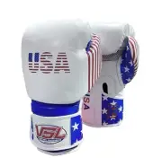 VSL Fighting Valle 4000 Leather 14 OZ Pro Boxing Gloves BRONX NY, USA $148 sz M