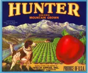 Wenatchee Washington Hunter Spaniel Dog Apple Fruit Crate Label Art Print
