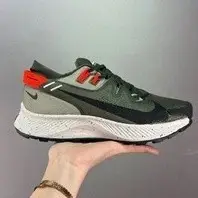 在飛比找蝦皮購物優惠-耐吉 Nike Nike Pegasus Trail 2 Y