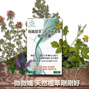 營養師優孅推薦 4入 薇孅緹萃天使藤黃果 植物膠囊 全素 血橙 藤黃果 膳食纖維 調整體質 促進新陳代謝 美食好幫手